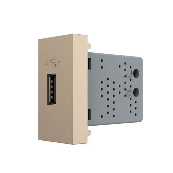 Modul priză USB Tip A Livolo VL-FCUS-1AP, policarbonat, auriu