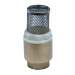 Sorb Gobe din alamă cu filtru inox, filet interior 3/4"